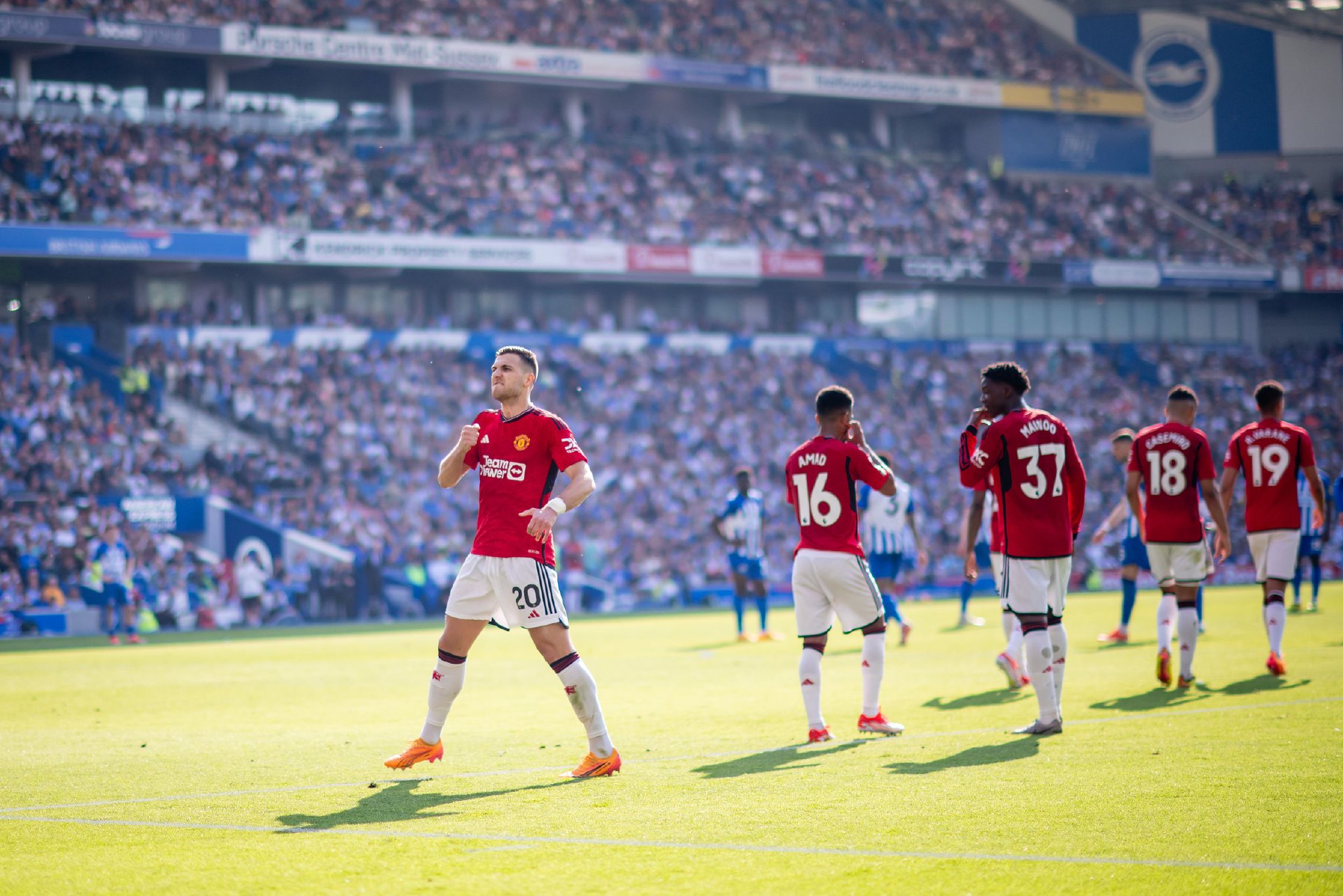 动的魅力 动的魅力